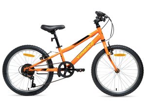 VINBIKE Hola 20 Youth Children's Bicycle – 20-Inch Wheels